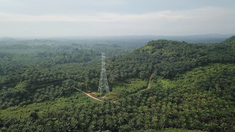 Estate Labour Deployment — palm oil project